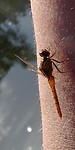 20180414_091217