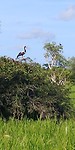 20180414_091530