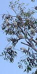 20180414_092633