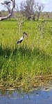 20180414_093602