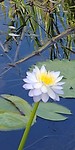 20180414_100820