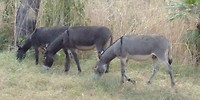 20180414_153701