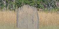 20180415_091908