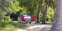 Ellis beach