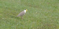 20180419_151519