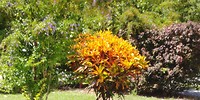 20180420_113521