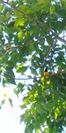 20180420_132744
