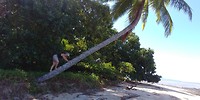 Anna gaat ze uit de boom halen