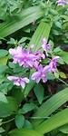 20180420_155358