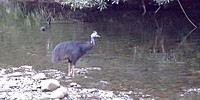20180420_170520