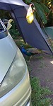 20180421_144734_HDR