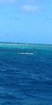 20180422_132547_Burst05