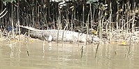 20180423_132426