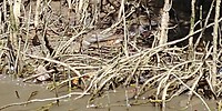 20180423_132746