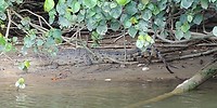20180423_133749