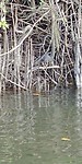 20180423_134206
