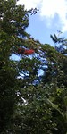 20180423_134938_HDR