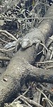 20180423_135451
