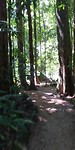 20180424_114520_HDR
