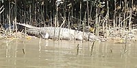 20180423_132421