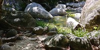 20180424_121810_HDR