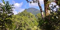 20180424_133454_HDR