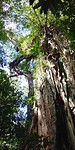 20180424_144803_HDR