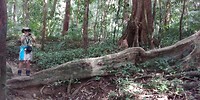20180424_144646