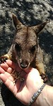 20180425_122459