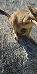 20180425_134012