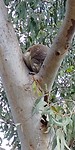 20180428_102833