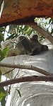 20180428_103104