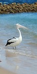 20180428_105040