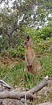 20180428_151607