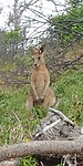 20180428_151621