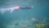 Anna & Anja down under in Australië 3 - 29 april 2018