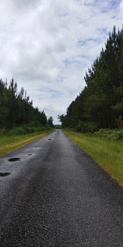 De laatste 150 km is dit de weg, met af en toe een kleine klim.