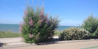 20180629_105839