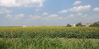 20180715_153421
