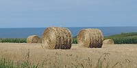 20180808_143518