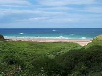IMG-20180809-WA0008