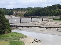IMG-20180810-WA0019