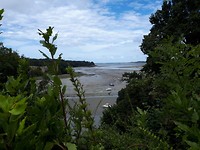 IMG-20180810-WA0018