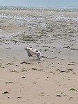 IMG-20180815-WA0022
