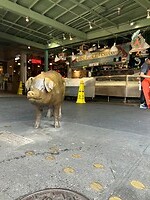 overdekte markt