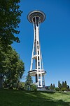 Needle