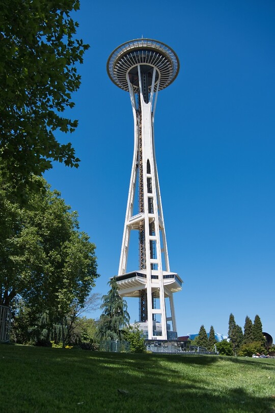 Needle