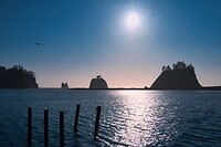 La Push