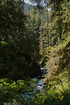 lake crescent lodge0106_19