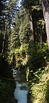 lake crescent lodge0106_22_PANORAMA 1